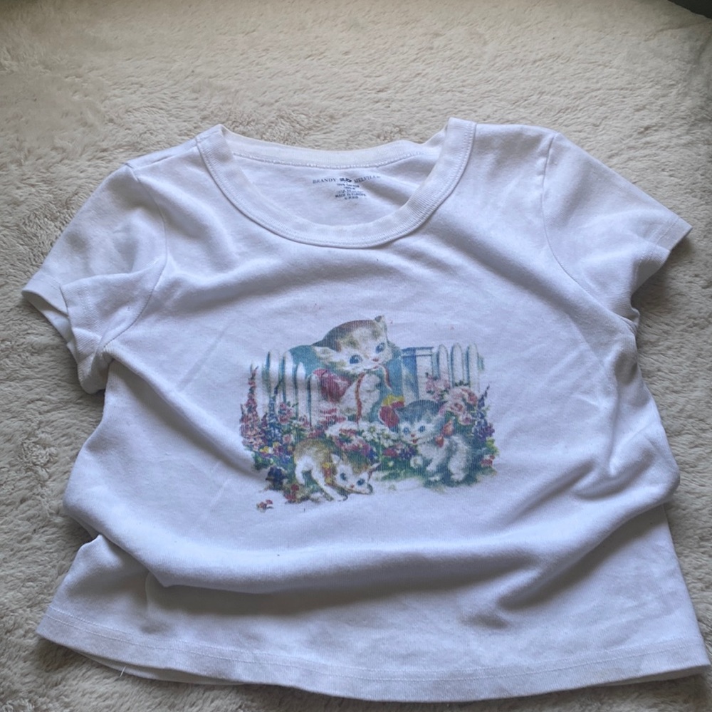 Brandy Melville kitten crop top